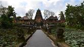 Bali: Lotus tempel (Ubud)