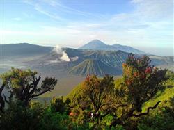 Bromo vulkaan