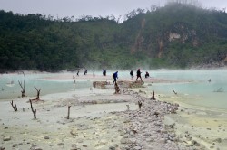 Kawah Putih